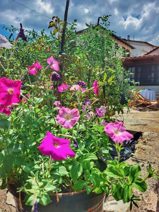 סטאברופולי Panthea Cottage מראה חיצוני תמונה